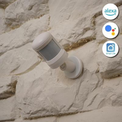 Slimme Zigbee bewegingssensor