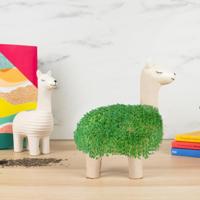 Gift Republic Llama Planter met zaden (aardewerk) - thumbnail