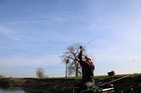 Browning Black Magic MSF 330 - thumbnail