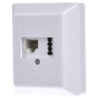 Rutenbeck IAE/UAE8(6)#13311101 Telefoonaansluitdoos Schroefbevestiging Zuiver wit