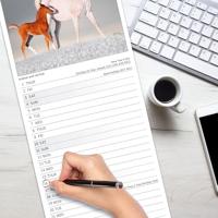 Paarden Kalender 2026 Slimline - thumbnail