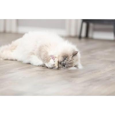 Kattenspeeltje Trixie - thumbnail