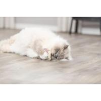 TRIXIE BEER STOF MET CATNIP 12 CM - thumbnail