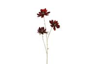 Countryfield magnolia steel 81 cm rood / goud - thumbnail