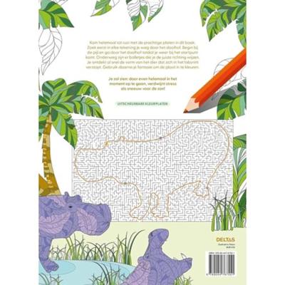 Magische doolhoven - kleurboek voor volwassenen