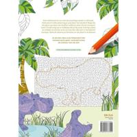 Magische doolhoven - kleurboek voor volwassenen - thumbnail