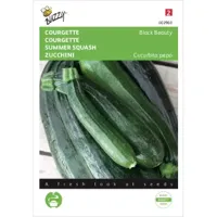 Zaden Courgette Black Beauty - Verte De Milan Buzzy - Buzzy - thumbnail