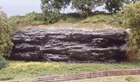 Woodland Scenics WC1247 Universeel Gipsmal Kleine rotswand (l x b) 250 mm x 130 mm - thumbnail