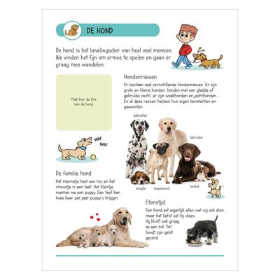 Deltas Stickerboek - dieren in huis en tuin