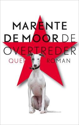 De overtreder - Marente de Moor - ebook