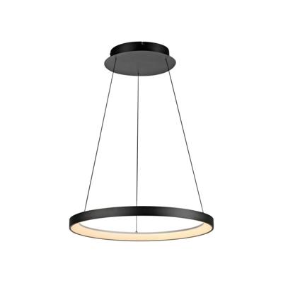 Paul Neuhaus HOOP 2851-18 LED-hanglamp LED LED vast ingebouwd 37 W Zwart Paul Neuhaus HOOP 2851-18 LED-hanglamp LED LED vast ingebouwd 37 W Zwart