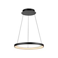 Paul Neuhaus HOOP 2851-18 LED-hanglamp LED LED vast ingebouwd 37 W Zwart - thumbnail