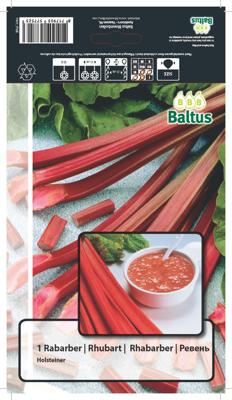 Bloembollen Rabarber per 1 Baltus - Baltus