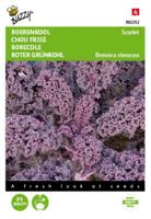 Zaden Boerenkool Scarlet Paars Buzzy - Buzzy - thumbnail