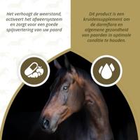 Excellent Horse Parex 750 g - thumbnail