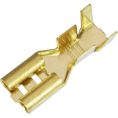 Quadrios 1908C187 Assortiment kabelschoenen 1.50 mm² - 2.50 mm² Messing, Transparant 100 onderdelen