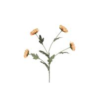 Kunsttak Chrysanthemum beige 20xH83,8cm - thumbnail