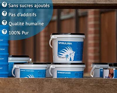 Post workout paard 3000 gram