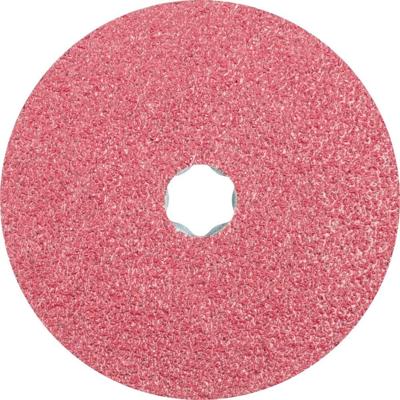 PFERD TOOLS 64192102 Schuurschijf Diameter 125 mm