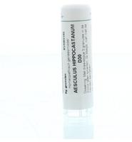 Aesculus hippocastanum D30 - thumbnail