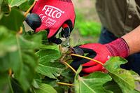 Ernte- u.Leseschere Gesamt-L.154mm FELCO - thumbnail