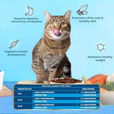 PAWFECT FREEZE DRIED FOODS CAT FISH RECIPE 250 GR - thumbnail