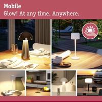 Paulmann 94309 4000870943090 Tafellamp op zonne-energie 0.8 W Warmwit RVS - thumbnail