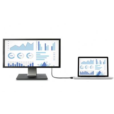 Renkforce RF-4600632 DisplayPort-kabel DisplayPort / HDMI Adapterkabel DisplayPort-stekker, HDMI-A-stekker 2.00 m Zwart
