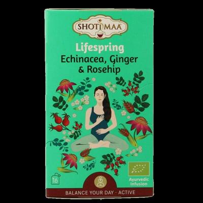 Shoti Maa Lifespring echinacea, ginger & rosehip bio 16 Zakjes
