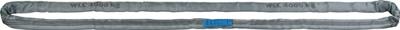 Promat/Tecwerk Ronde draagband | DIN EN 1492-2 | omvang 4 m grijs | draagverm. eenv. 4000 kg - 4000365148 Promat/Tecwerk Ronde draagband | DIN EN 1492-2 | omvang 4 m grijs | draagverm. eenv. 4000 kg - 4000365148