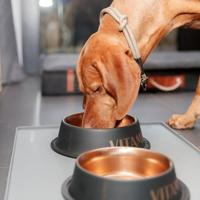 Voerbak voor honden Trixie BE NORDIC Zwart Brons - thumbnail