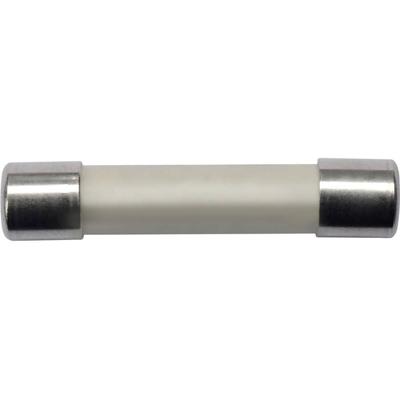 Schützinger SICH 6.35x32 1000V 0.5 A DMI Buiszekering (Ø x l) 6.35 mm x 32 mm 0.5 A 1000 V Inhoud 1 stuk(s)
