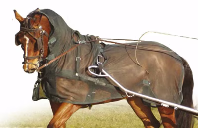 Ideal Tuigvliegendeken met hals blauw maat:175