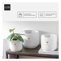 J-Line bloempot Kat voor binnen - cement - wit|goud - medium - Ø 16 cm - thumbnail