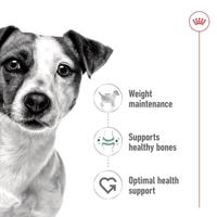 Royal Canin SHN Mini Adult natvoer blik hond 195 gram - thumbnail