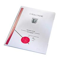 Leitz Zichttassen 4153 DIN A4 Polypropyleen 0.15 mm Transparant 41530003 100 stuk(s) - thumbnail