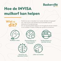 Muilkorf Company of Animals Transparant 2 - thumbnail