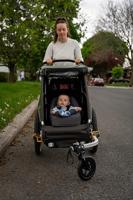 Burley Kard bur babyschaal 1 tm 10 mnd gry - thumbnail