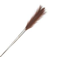 Countryfield pluim tak xl bruin 130 cm | 12 stuks - thumbnail