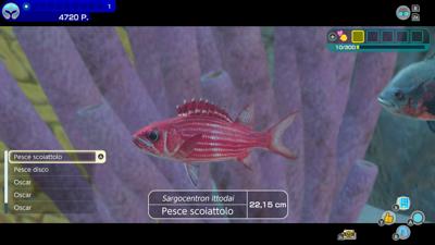 Endless Ocean Luminous