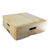 PT Essentials Corepower Stapelbare Plyo Boxes 20 of 30,5 cm - thumbnail