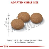 ROYAL CANIN Sterilised Ageing 12+ | dubbelverpakking | 2 x 400 g | compleet voer voor katten | speciaal voor gecastreerde Senior katten vanaf 12 jaar | Voor gewichtsbehoud - thumbnail