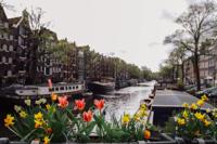 Tuinschilderij bloemengracht 70x50 Customize-it - Customize it - thumbnail