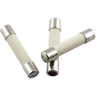 ESKA 52826 Buiszekering (Ø x l) 5 mm x 25 mm 8 A 250 V Normaal -mT- Inhoud 10 stuk(s)