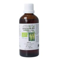 Cruydhof Gentiana lutea radix / gentiaan tinctuur bio 100 Milliliter - thumbnail
