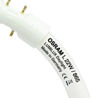 Osram Lumilux T5 Circulair FC 40W - 865  | 30cm - thumbnail