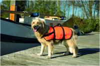 BZ VEILIGHEIDS/ZWEMVEST SM 7-9KG - thumbnail