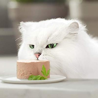 GOURMET GOLD 12-PACK FIJNE MOUSSE - thumbnail