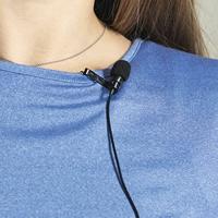 Hama Dasspeld Spraakmicrofoon Zendmethode:Kabelgebonden Incl. klem, Incl. tas, Incl. windkap - thumbnail