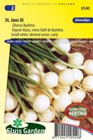 Uienzaden Barletta (St. Jans) - thumbnail